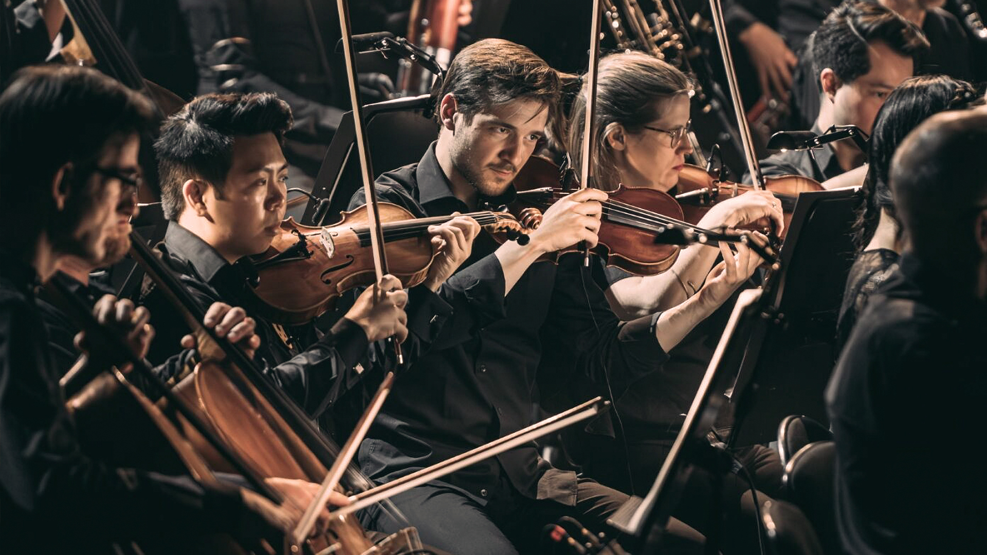 Violinister