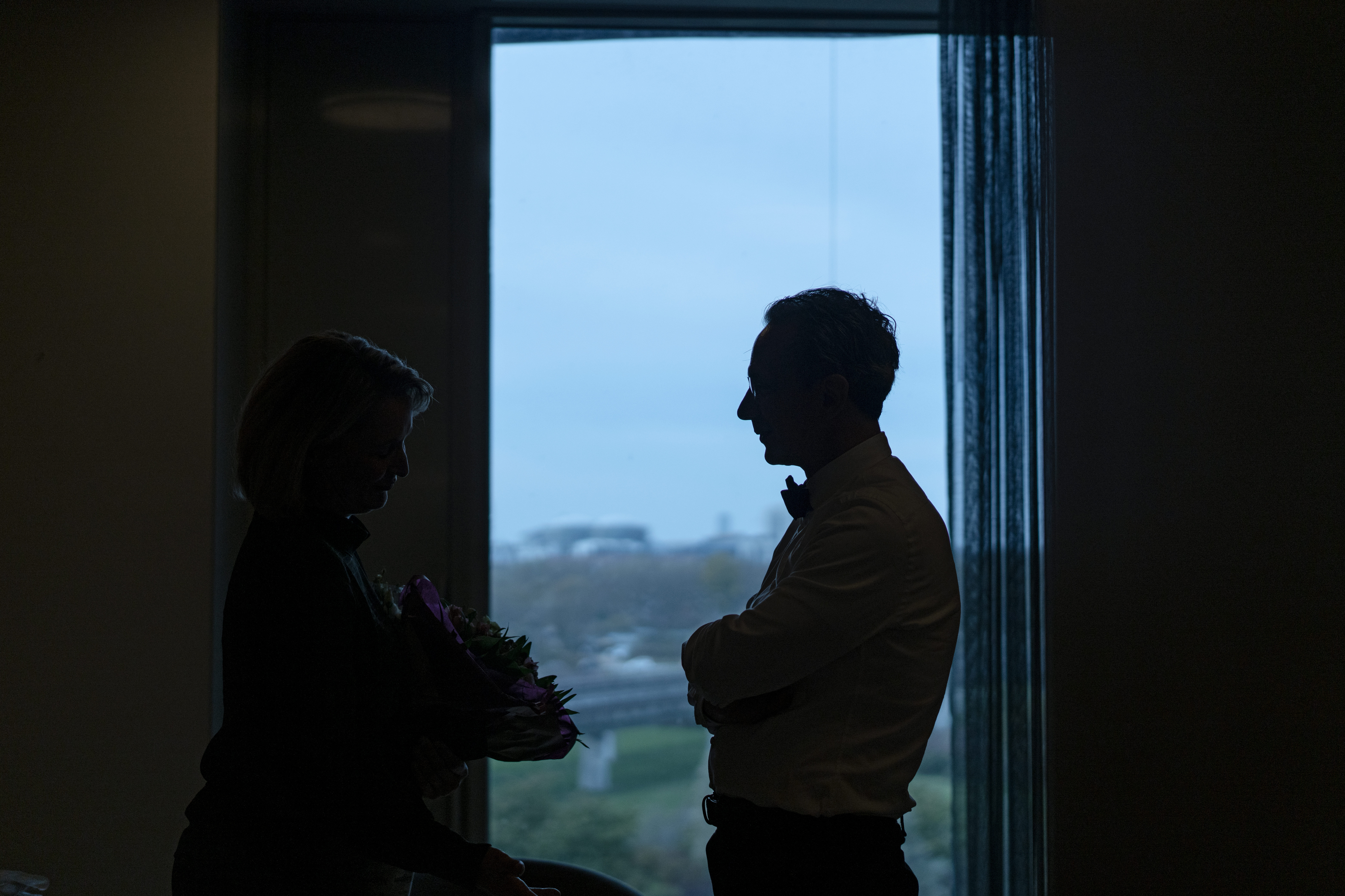 Fabio Luisi i profil