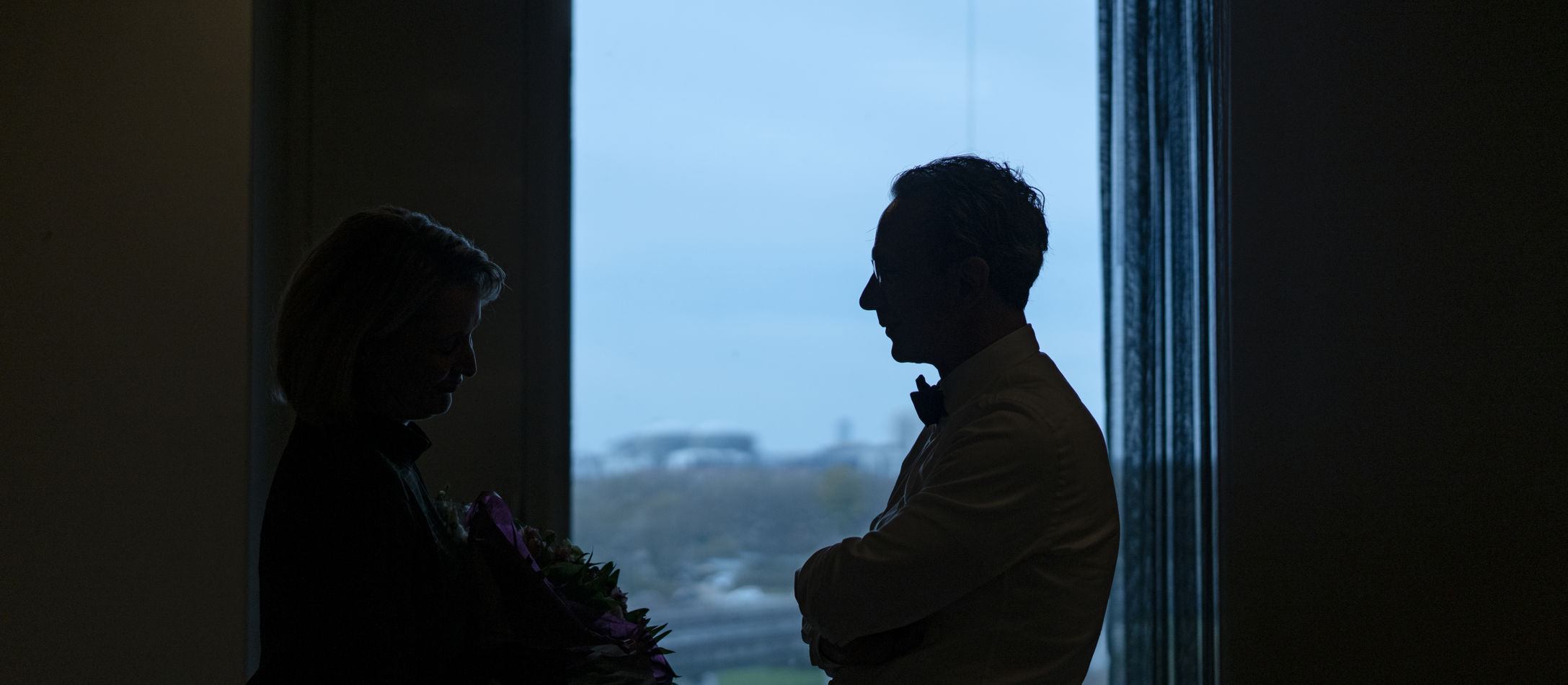 Fabio Luisi i profil